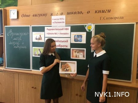 Всеукраїнський урок доброти